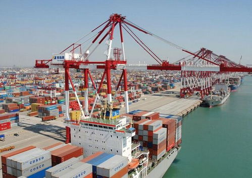 上海機場國際快遞進口報關(guān)與代理服務(wù)詳解